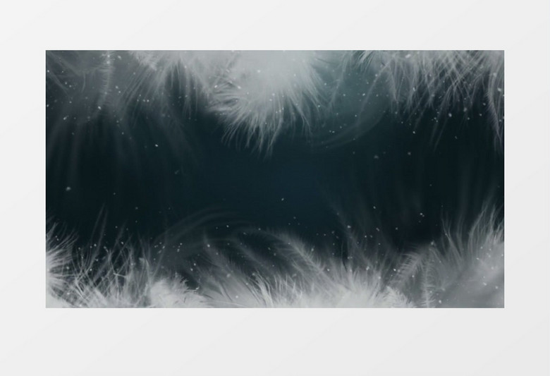 动画动态羽毛飞舞飘落背景视频素材