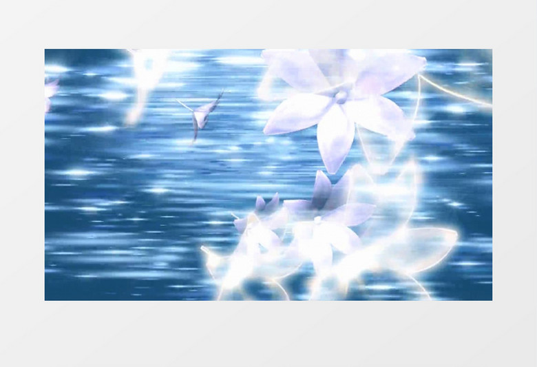 洁白梦幻百合花背景视频素材