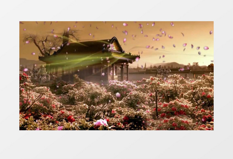 动画动态古代花园花瓣飘落(有音乐)背景视频素材