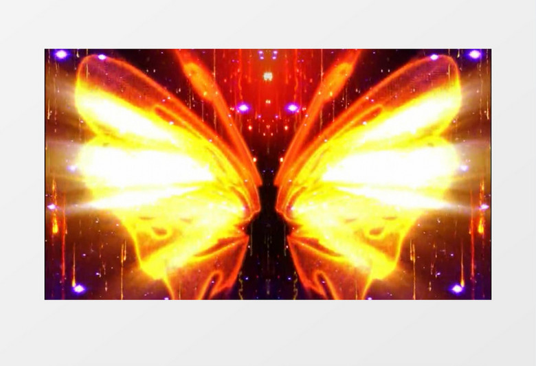 动画动态金色翅膀粒子闪烁背景视频素材