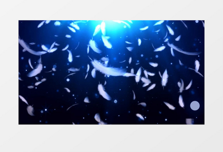 动画动态白色羽毛飞舞飘落粒子闪烁背景视频素材