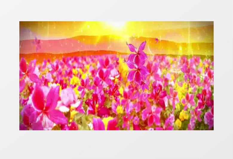 金色五星红旗爱国歌唱背景视频素材