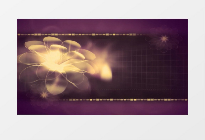 韩风版优雅背景视频MP4