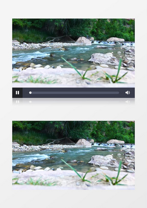 绿色清澈小溪流水实拍视频素材