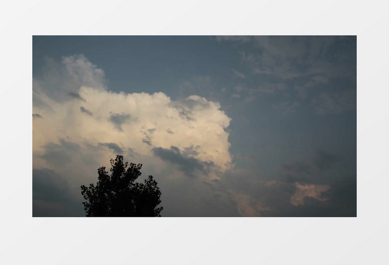 乌云变幻树木有风实拍视频素材