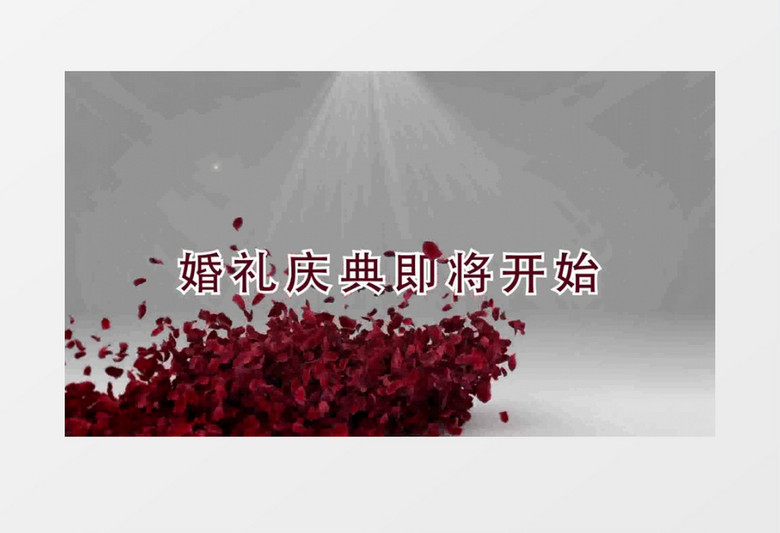 唯美婚礼开场倒计时视频ae模板