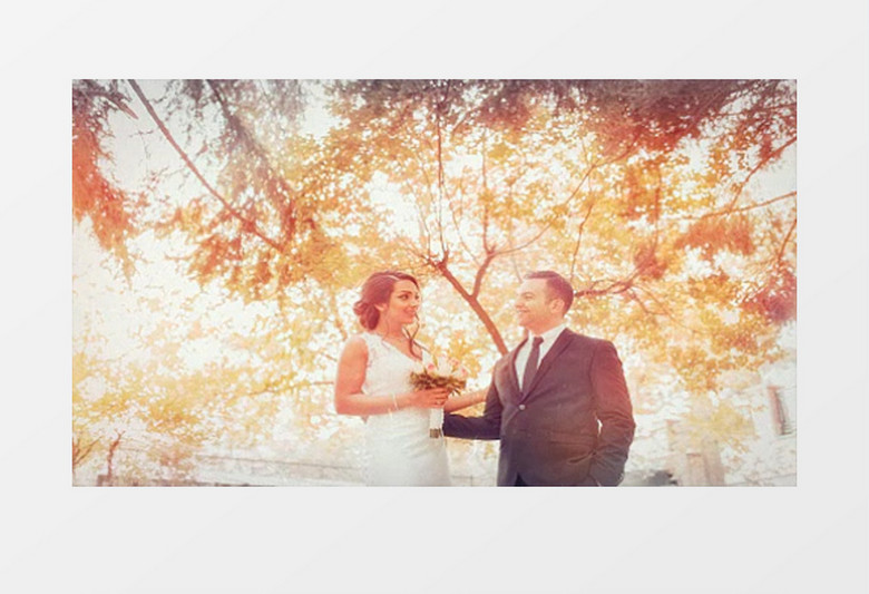 婚礼影像图文展示婚礼开场片头视频AE模板