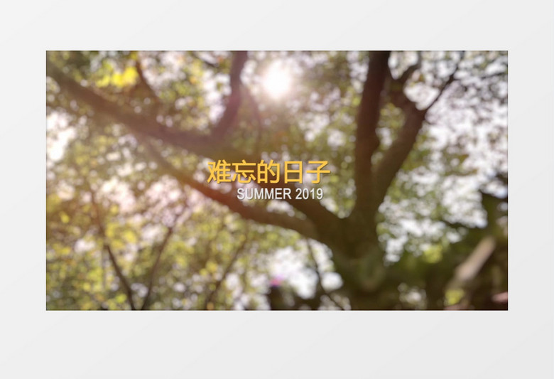 阳光明媚树枝实拍电子相册AE模板
