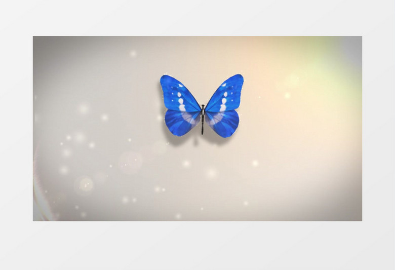 漂亮清新的蝴蝶飞舞LOGO标志展示AE模板