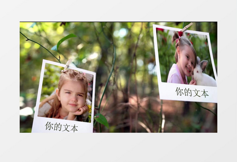 树木绳子悬挂照片相册回忆片头AE视频