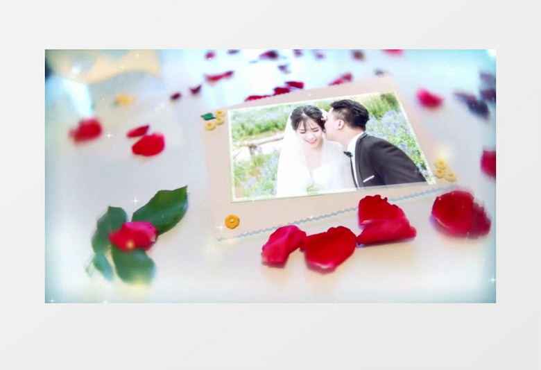 玫瑰花实拍实拍婚礼写真照片模板AE视频