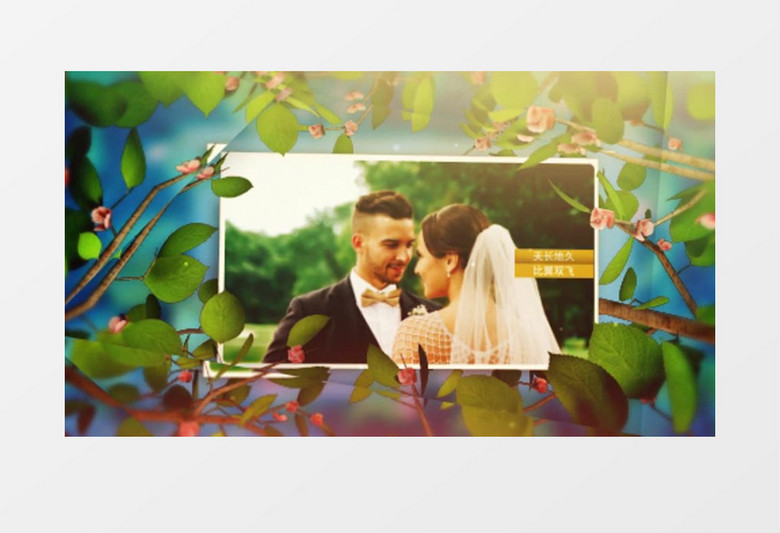 唯美清爽树叶电子相册幻灯片AE模板