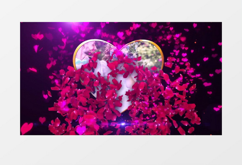 情人爱心玫瑰花瓣动画婚庆片头AE模板