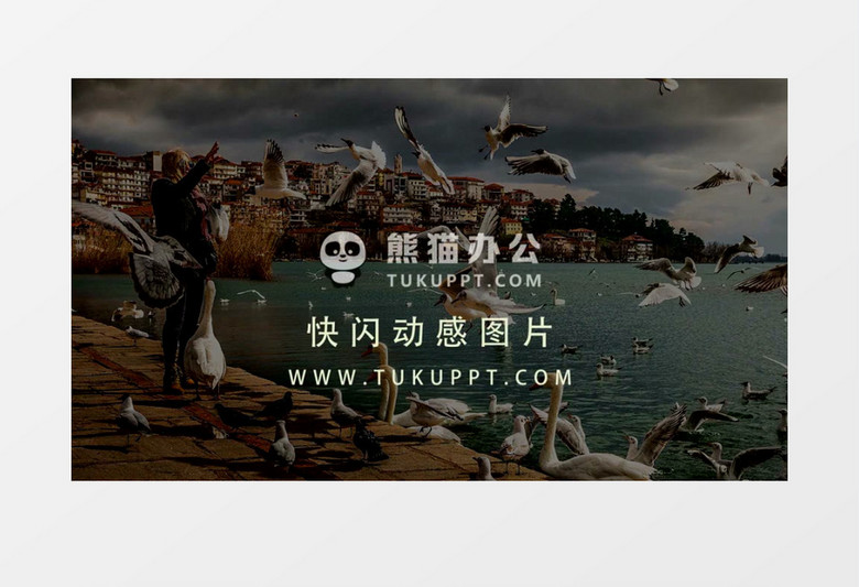 快闪文字图片视频开场片头视频AE模板