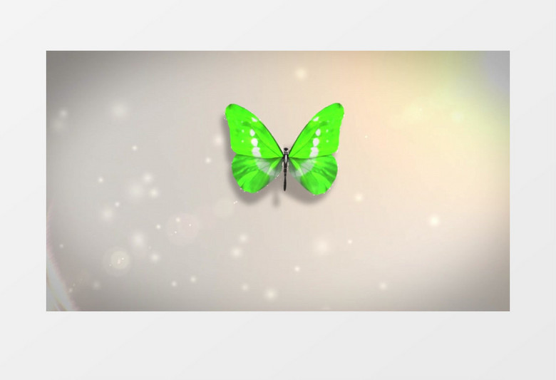 漂亮唯美清新的蝴蝶飞舞LOGO标志展示AE模板