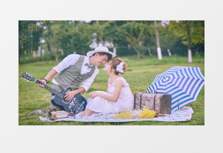 唯美浪漫花瓣飘落飞舞AE模板