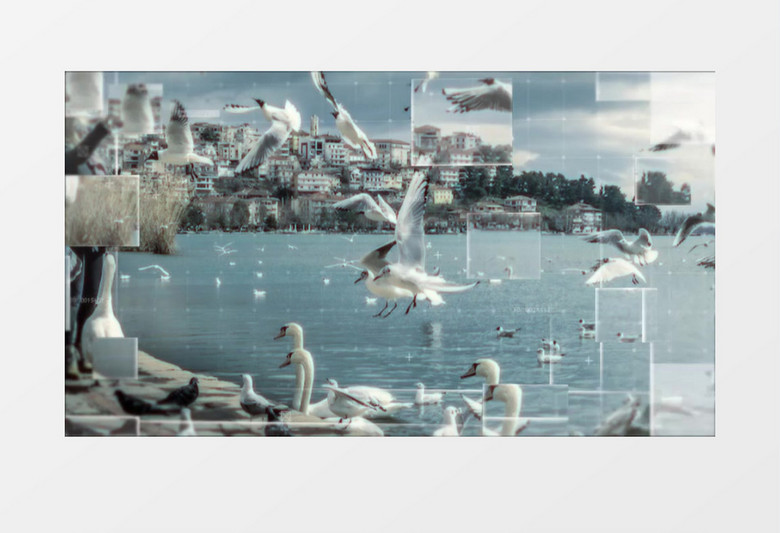 未来科技图形电子相册AE模板