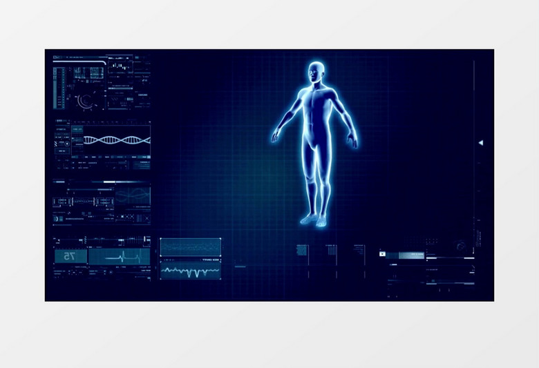 人体器官透视激光扫描视频素材模版