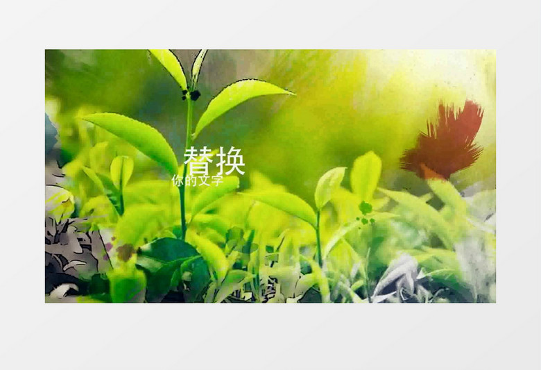 古典中国风茶叶文化宣传视频AE模板
